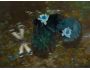  WB Water Dragonfly (screen saver v2.0) 2.0