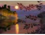 WB Rowan Castle (screen saver v2.0) 2.0