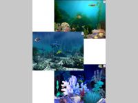 Aquatica Waterworlds screen saver