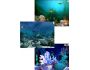 Aquatica Waterworlds screen saver 3.53
