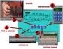 How to Play the Guitar CD-ROM I 4.0V