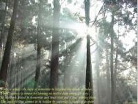 Rays of Hope
