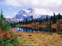 Autumn Season Screensaver