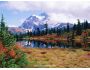 Autumn Season Screensaver 1.0