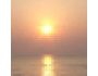 Dazzling Daytona Sun Screensaver 1.0