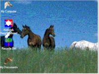 Horses On Hill Desktop Theme