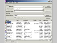 File Scavenger