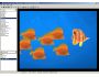 Advanced Image Viewer and Converter 1.60.1
