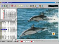 WebPictures Downloader