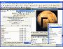 AccelMan 2.7.3