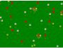 Spring Wildflowers Screen Saver 1.0