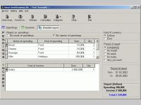 Home bookkeeping Lite