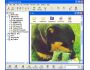 FileQuest XP Gold 3.1