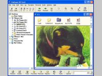 FileQuest XP