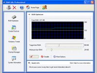 RAM Idle Professional