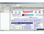 Secure IE Professional 3.0