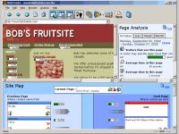 ClickTracks Analyzer