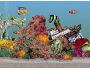Aquarium Fish Screensaver 1.0