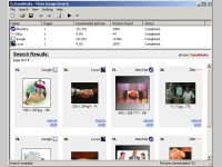 Meta Image Search
