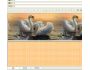 Wings II Email Stationery 1.0a