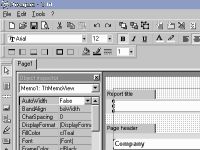 FastReport VCL
