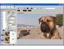 AVD Video Processor 7.0