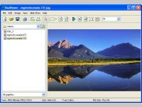 ReaViewer