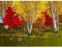 Woodland Dreams Screensaver 4.0