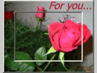 Image22 ActiveX