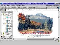 32bit Web Browser