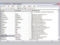 Top Dictionary 2003