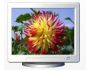 Beautiful flowers screen saver Captura de pantalla