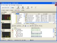 AdRem Server Manager