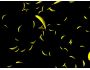 Bananas In Space 1.1