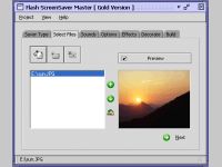 Flash ScreenSaver Master