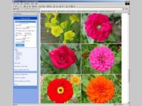ImageExtractor