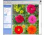 ImageExtractor 2002.8