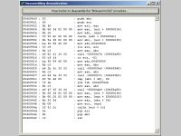 Embedded Disassembler
