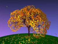 Autumn Fantasy