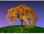Autumn Fantasy 1.1