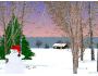 Winter Dreams Screensaver 3.1