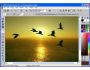 AVD ImageLine 5.1