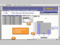 AfalinaSoft XL Report for C++Builder