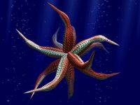 3D Alien Aquarium Screen Saver