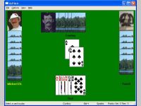 29 Card Arizona Pitch