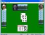 29 Card Arizona Pitch 1.20