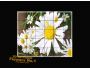2D 3D Puzzle Flowers No1 1.0.0.