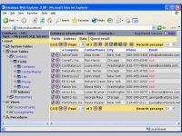 Database Web Explorer