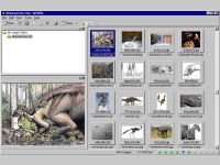 WebPix