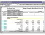 Budget Compiler QuickBooks Excel 20